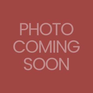 Charcoal-Grilled Kueh Kapit with Chicken Floss